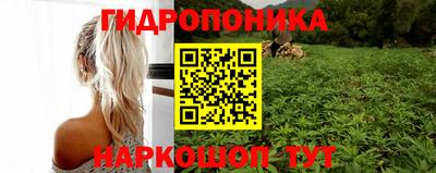 тгк Камышлов