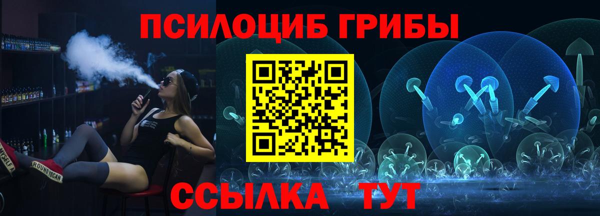 Псилоцибиновые грибы мицелий  Вход с VPN  Котовск 