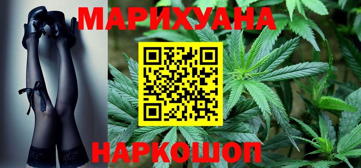 Бошки Шишки планчик Котовск